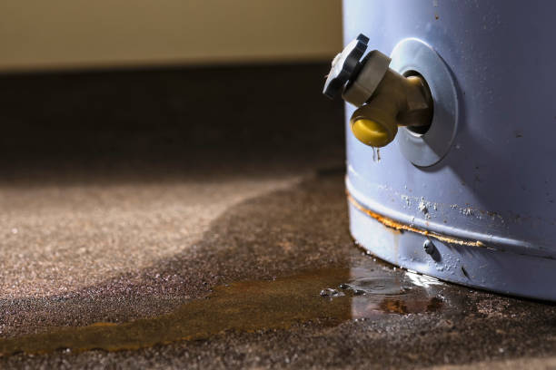 Best Flood restoration services  in Midway City, CA
