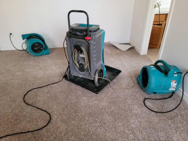 Best 24-hour water damage restoration  in Midway City, CA