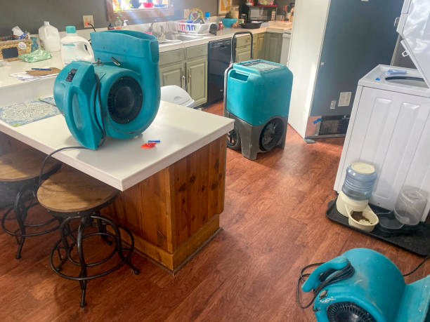 Best Basement water damage restoration  in Midway City, CA