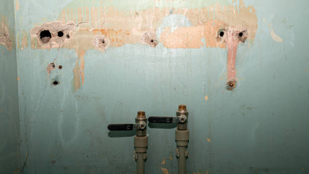 Best Carpet water damage restoration  in Midway City, CA