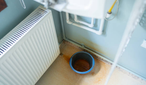 Best Water damage cleanup near me  in Midway City, CA