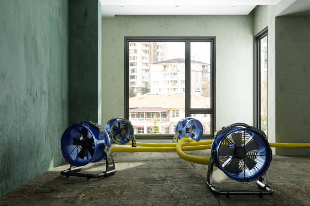 Best 24/7 water damage repair  in Midway City, CA